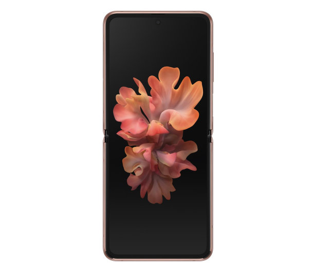 Samsung Galaxy Z Flip 5G SM-F707F Brown - 587877 - zdjęcie 2